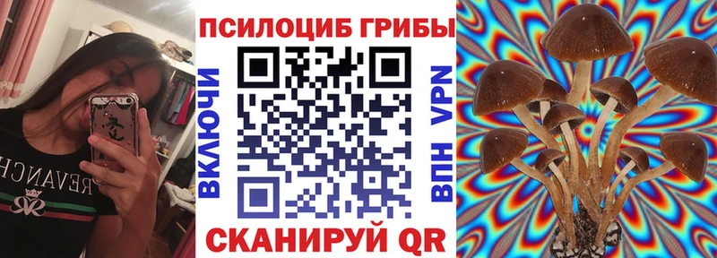 Галлюциногенные грибы MAGIC MUSHROOMS  Бердск 