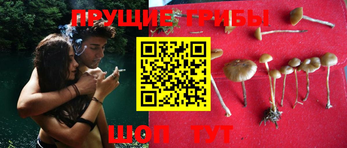 Галлюциногенные грибы Magic Shrooms Бердск