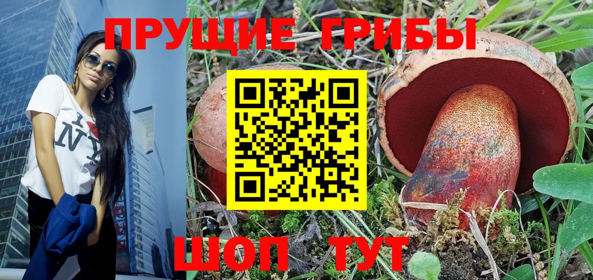 где купить наркоту  Галлюциногенные грибы Psilocybe  Вход с VPN  Бердск  Псилоцибиновые грибы GOLDEN TEACHER 