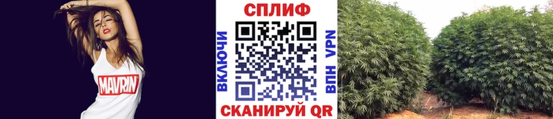 Канабис OG Kush  Бердск 